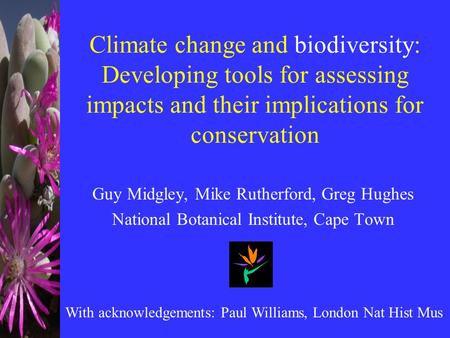 Climate change and biodiversity: Developing tools for assessing impacts and their implications for conservation Guy Midgley, Mike Rutherford, Greg Hughes.