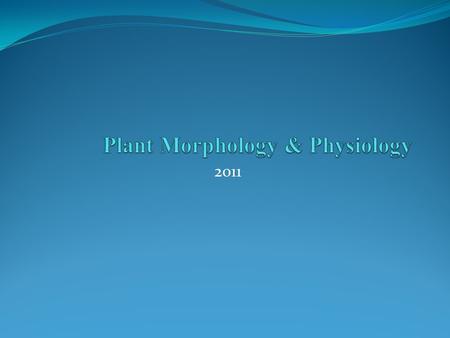 Plant Morphology & Physiology