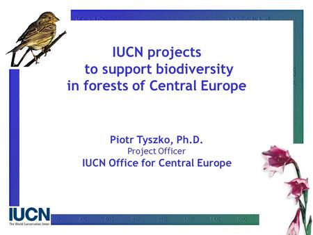 IUCN projects to support biodiversity in forests of Central Europe Piotr Tyszko, Ph.D. Project Officer IUCN Office for Central Europe.