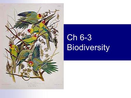 Ch 6-3 Biodiversity.