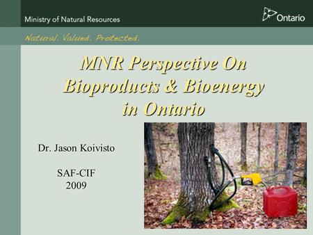 MNR Perspective On Bioproducts & Bioenergy in Ontario Dr. Jason Koivisto SAF-CIF2009.