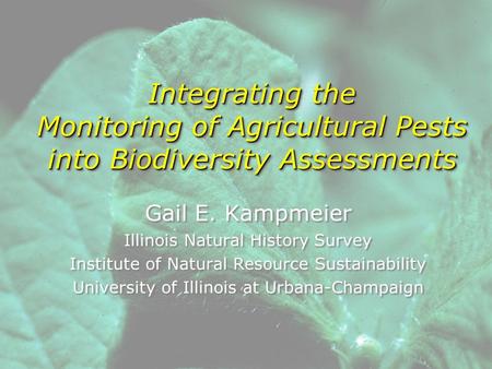 Integrating the Monitoring of Agricultural Pests into Biodiversity Assessments Gail E. Kampmeier Illinois Natural History Survey Institute of Natural Resource.