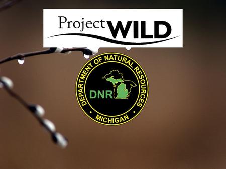Project WILD is: An award-winning, interdisciplinary, conservation and environmental education program that emphasizes wildlife and its habitat. Project.