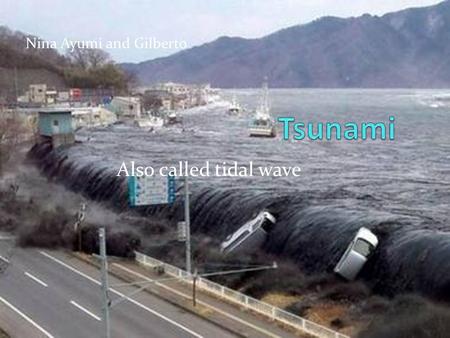 Also called tidal wave Nina Ayumi and Gilberto. DefinItion Tsunamis are a serie of water waves. They’re caused by the displacement of a large volume of.