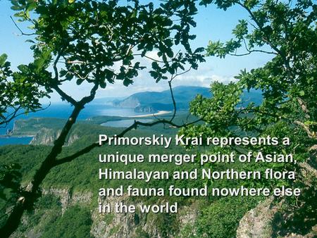 Primorskiy Krai represents a unique merger point of Asian, Himalayan and Northern flora and fauna found nowhere else in the world.