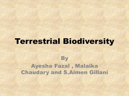 Terrestrial Biodiversity By Ayesha Fazal, Malaika Chaudary and S.Aimen Gillani.