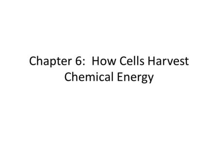 Chapter 6: How Cells Harvest Chemical Energy