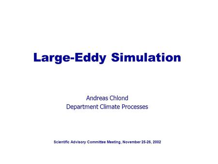 Scientific Advisory Committee Meeting, November 25-26, 2002 Large-Eddy Simulation Andreas Chlond Department Climate Processes.