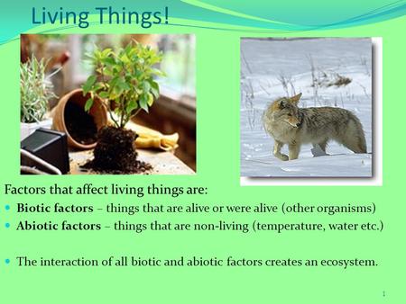 Living Things! Factors that affect living things are: