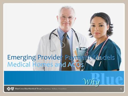 1 Emerging Provider Payment Models Medical Homes and ACOs.
