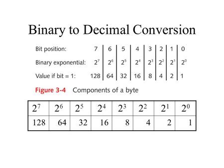 Binary to Decimal Conversion
