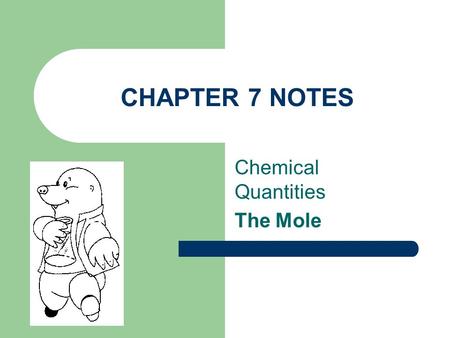 Chemical Quantities The Mole
