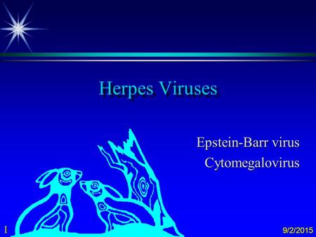 Epstein-Barr virus Cytomegalovirus