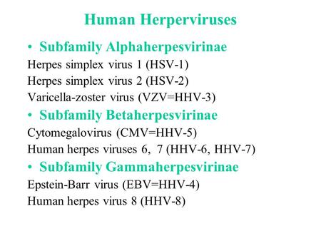 Human Herperviruses Subfamily Alphaherpesvirinae