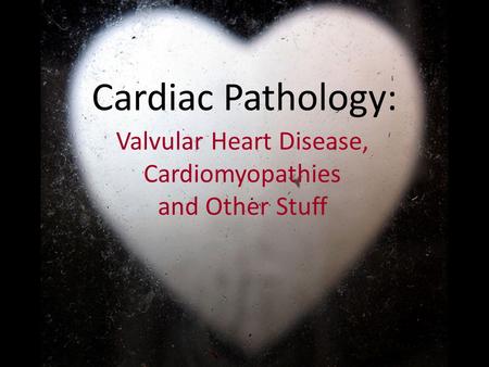 Cardiac Pathology: Valvular Heart Disease, Cardiomyopathies and Other Stuff.