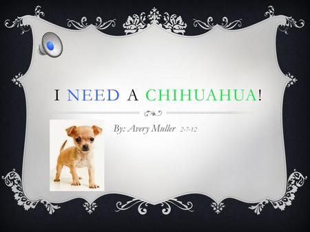 I NEED A CHIHUAHUA! By: Avery Muller 2-7-12 RESPONSIBILITY If I get a chihuahua, it will teach me how to be responsible now and later in life! These.