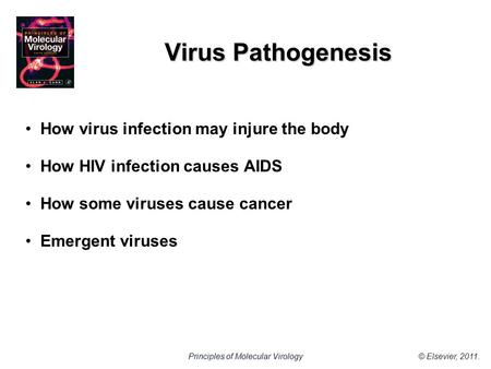 © Elsevier, 2011.Principles of Molecular Virology Virus Pathogenesis How virus infection may injure the body How HIV infection causes AIDS How some viruses.