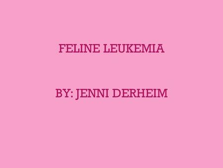 FELINE LEUKEMIA BY: JENNI DERHEIM