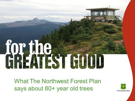What The Northwest Forest Plan says about 80+ year old trees.