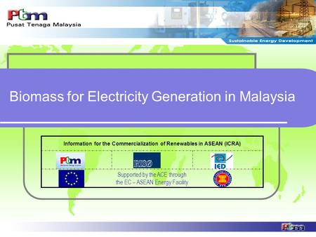 Biomass for Electricity Generation in Malaysia Supported by the ACE through the EC – ASEAN Energy Facility Information for the Commercialization of Renewables.