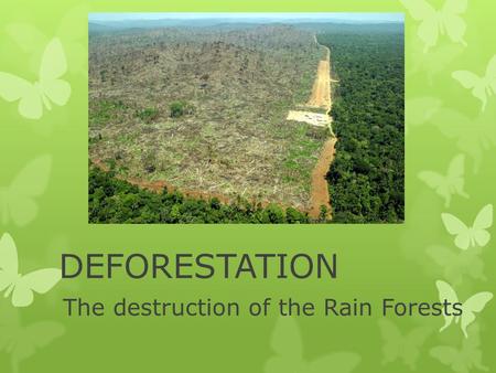 The destruction of the Rain Forests