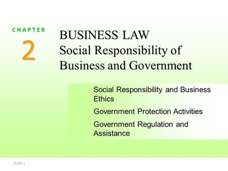 2 BUSINESS LAW Social Responsibility of Business and Government