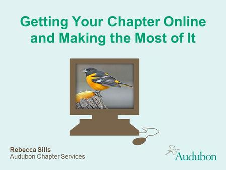 Getting Your Chapter Online and Making the Most of It Rebecca Sills Audubon Chapter Services.