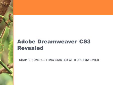 Adobe Dreamweaver CS3 Revealed CHAPTER ONE: GETTING STARTED WITH DREAMWEAVER.