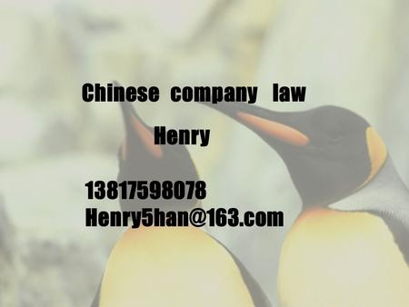 Chinese company law Henry 13817598078