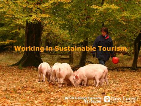 Working in Sustainable Tourism