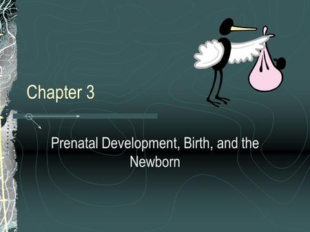 Chapter 3 Prenatal Development, Birth, and the Newborn.