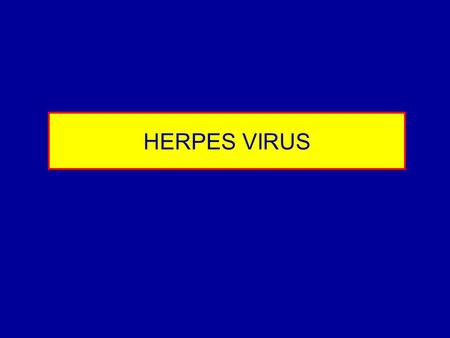 HERPES VIRUS.