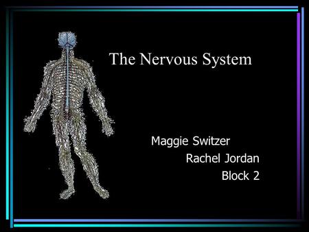 The Nervous System Maggie Switzer Rachel Jordan Block 2.