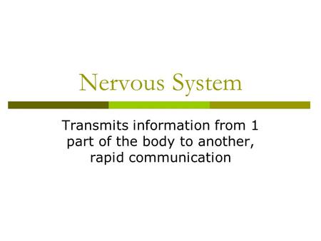 Nervous System Transmits information from 1 part of the body to another, rapid communication.