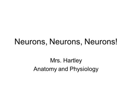 Neurons, Neurons, Neurons!