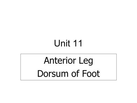 Unit 11 Anterior Leg Dorsum of Foot. Locate bones of the foot Talus Calcaneus Cuboid Navicular Cuneiforms 5 Metatarsals and 14 Phalanges BonesPlate 523A.