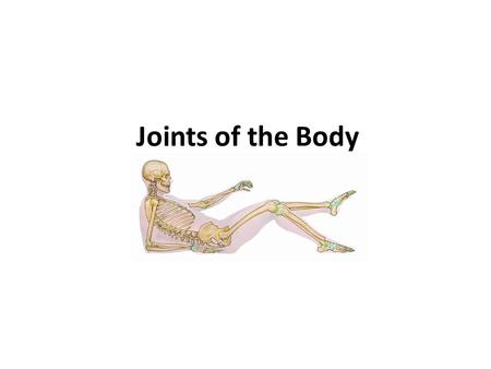 Joints of the Body. Terminology: Articulations – points of contact of joints between 2 connected bones Tendon – attach muscle to bone Ligament – attach.
