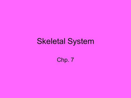 Skeletal System Chp. 7. Types of Bones Long – femur, tibia, humorus, phalange Short – carpals, tarsals Flat – frontal, parietal, sternum, ribs Irregular.