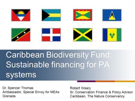 Caribbean Biodiversity Fund: Sustainable financing for PA systems Robert Weary Sr. Conservation Finance & Policy Advisor Caribbean, The Nature Conservancy.