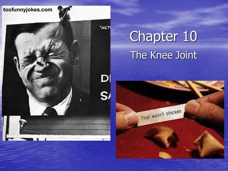 Chapter 10 The Knee Joint.