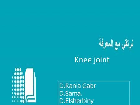 Knee joint D.Rania Gabr D.Sama. D.Elsherbiny.