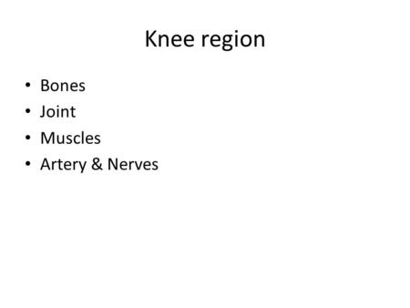 Knee region Bones Joint Muscles Artery & Nerves.