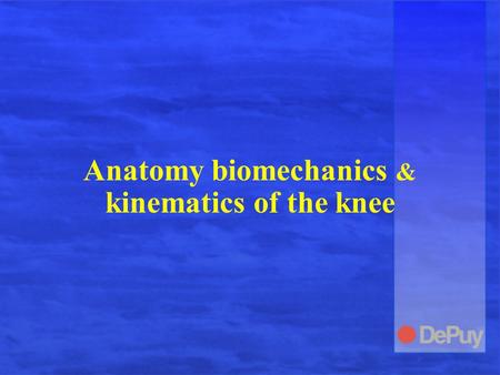 Anatomy biomechanics & kinematics of the knee