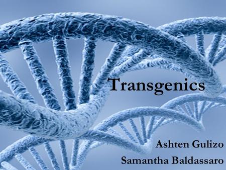 Ashten Gulizo Samantha Baldassaro Transgenics. What is it? An organism that carries a gene that has been deliberately inserted into its genome 1 Usually.