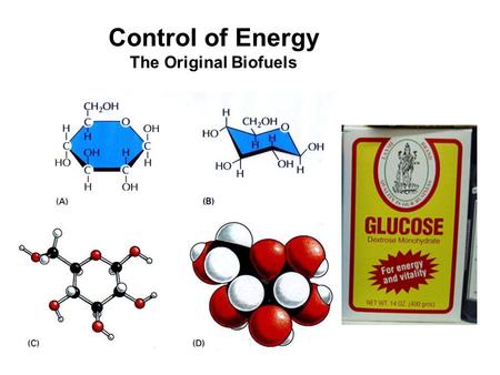 Control of Energy The Original Biofuels. Importance of Glucose Regulation Too little – Brain problems Too much –Osmotic water loss (cellular and systemic)