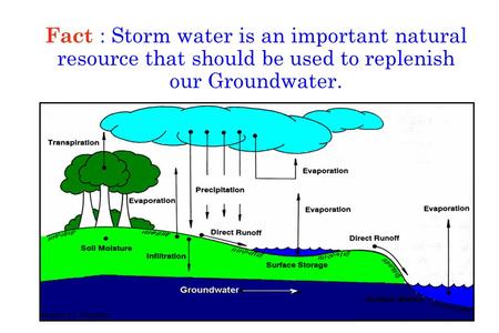 Fact : Storm water is an important natural resource that should be used to replenish our Groundwater.