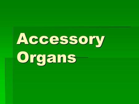 Accessory Organs.  Not part of the digestive tract  BUT they are necessary.