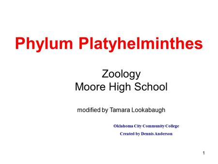 1 Phylum Platyhelminthes Oklahoma City Community College Created by Dennis Anderson Zoology Moore High School modified by Tamara Lookabaugh.