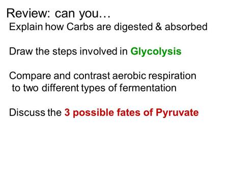 Review: can you… Explain how Carbs are digested & absorbed Draw the steps involved in Glycolysis Compare and contrast aerobic respiration to two different.