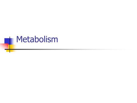Metabolism. Definitions… Metabolism – the sum of all the chemical processes whereby _______ is made available and used by the cells of the body Energy.